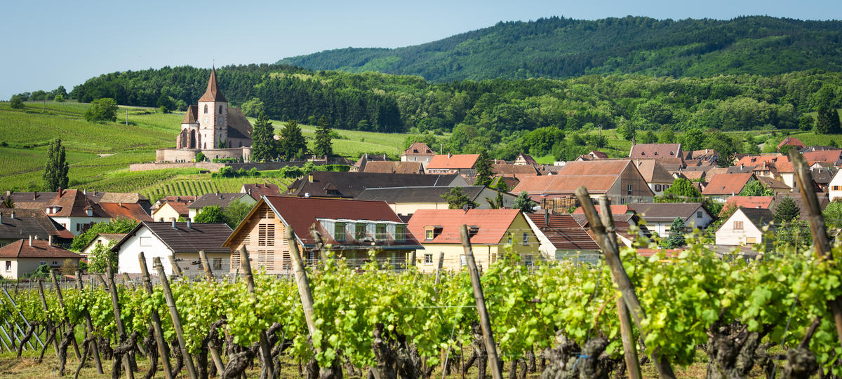 Nos secteurs d’intervention Wittenheim